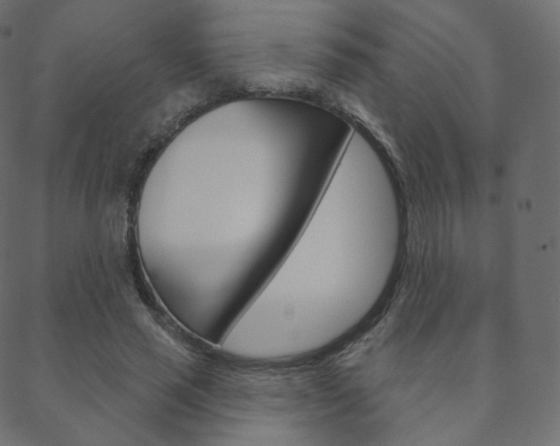 X0000088670637200705311000