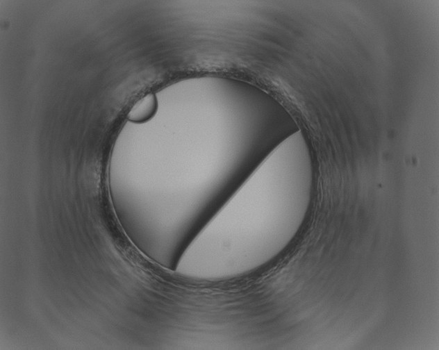 X0000088670640200705311000