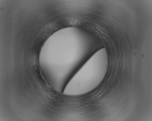 X0000088670651200705311000