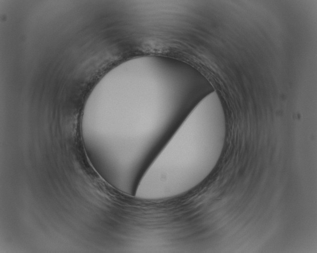 X0000088670652200705311000