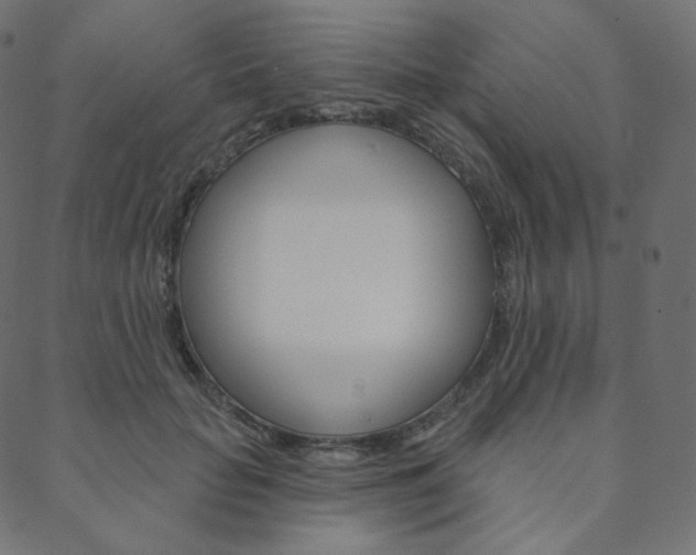 X0000088670653200705311000