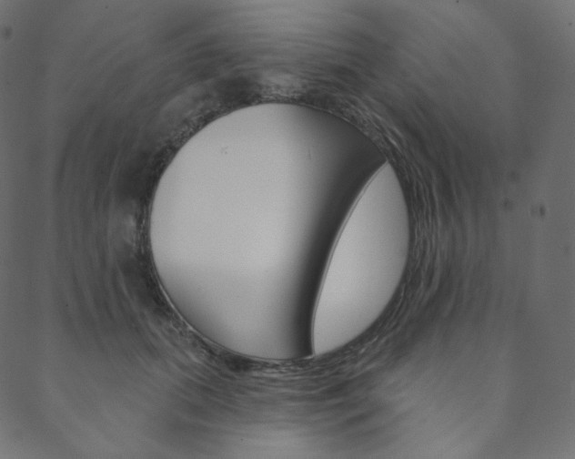 X0000088670655200705311000