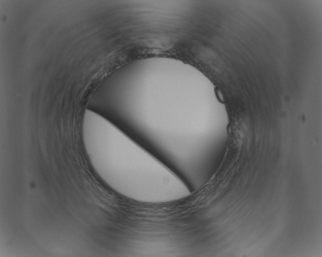 X0000088670657200705311000