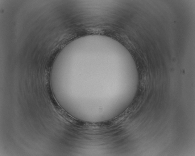 X0000088670658200705311000