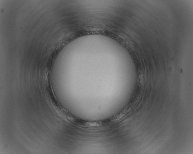 X0000088670662200705311000