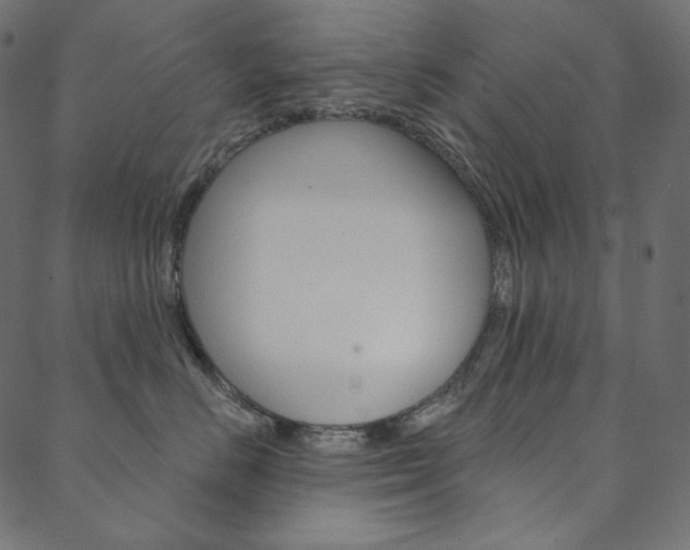 X0000088670670200705311000