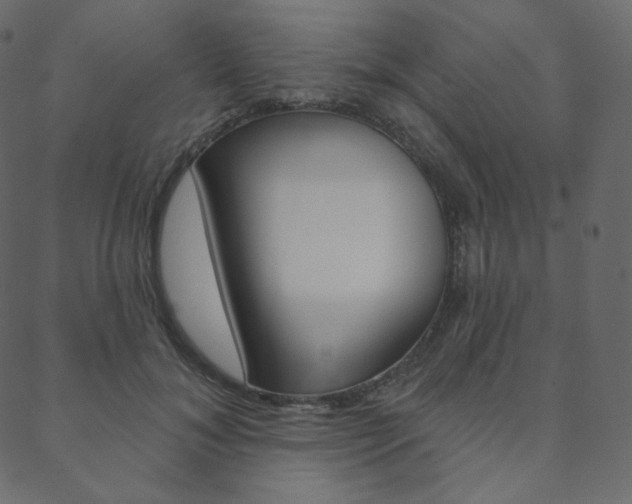 X0000088670700200705310959