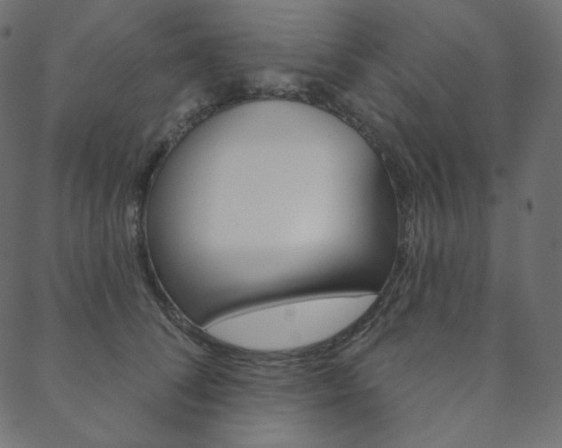 X0000088670708200705310959