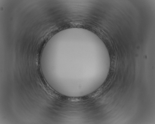 X0000088670710200705310959