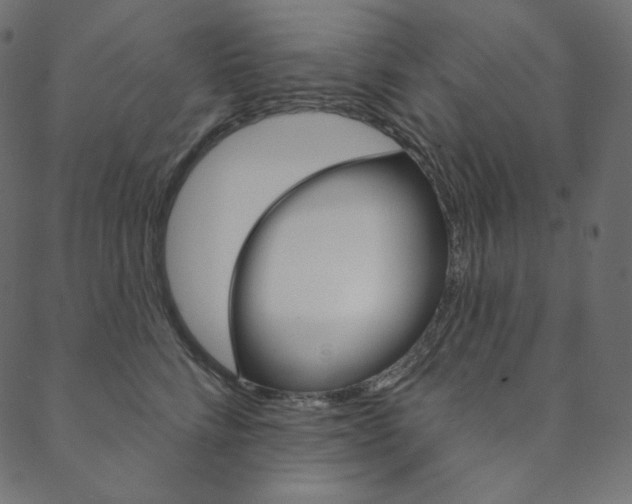 X0000088670712200705310959