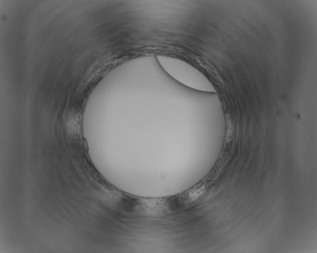 X0000088670713200705310959