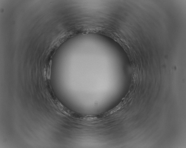 X0000088670716200705310959