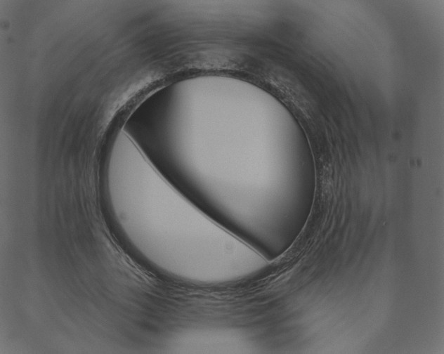 X0000088670727200705310958