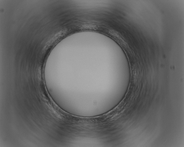 X0000088670729200705310958
