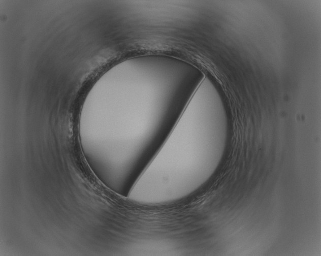 X0000088670731200705310958