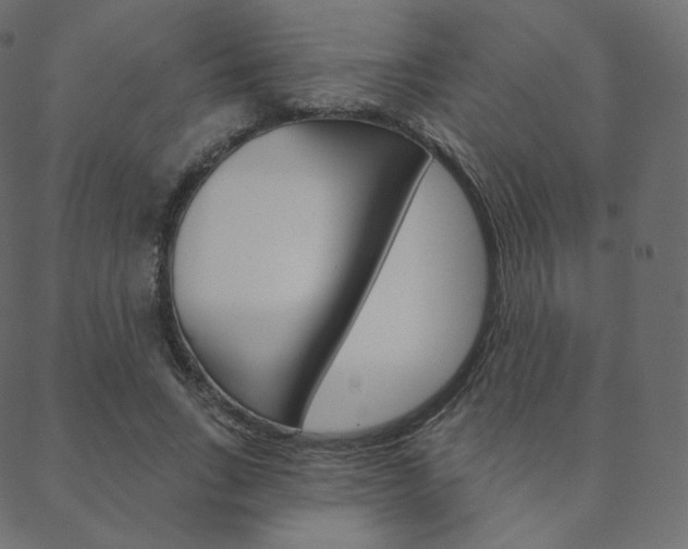 X0000088670735200705310958