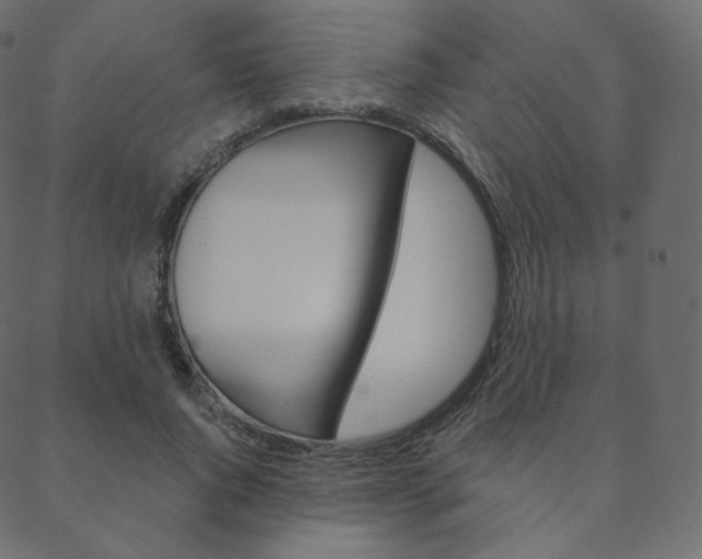X0000088670736200705310958