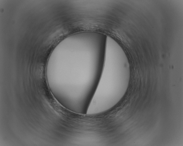 X0000088670744200705310958
