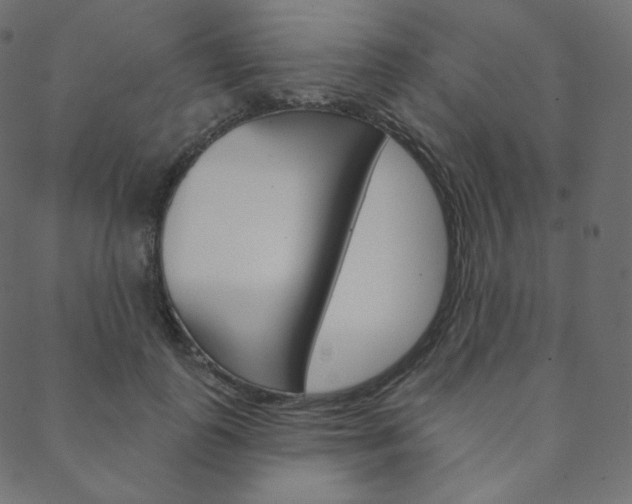 X0000088670747200705310958
