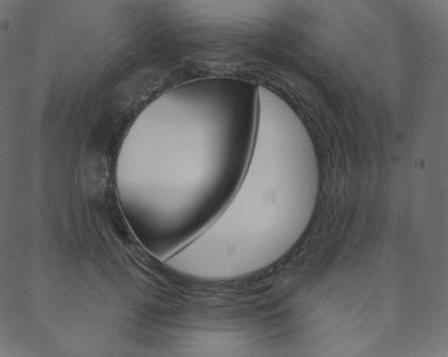 X0000088670752200705310958