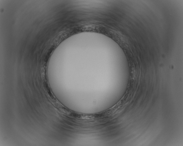 X0000088670753200705310958