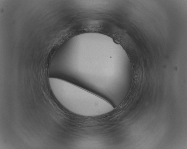 X0000088670755200705310958
