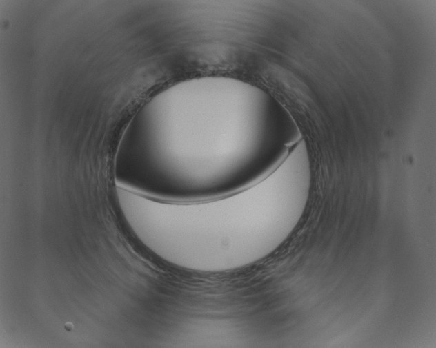 X0000088670756200705310958