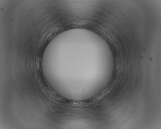 X0000088670758200705310958