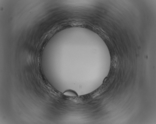 X0000088670763200705310958