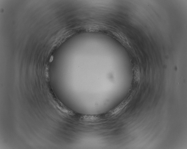 X0000088670766200705310959