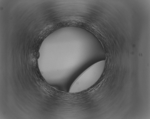 X0000088670771200705310958