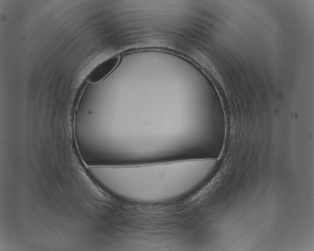 X0000088670789200705310957