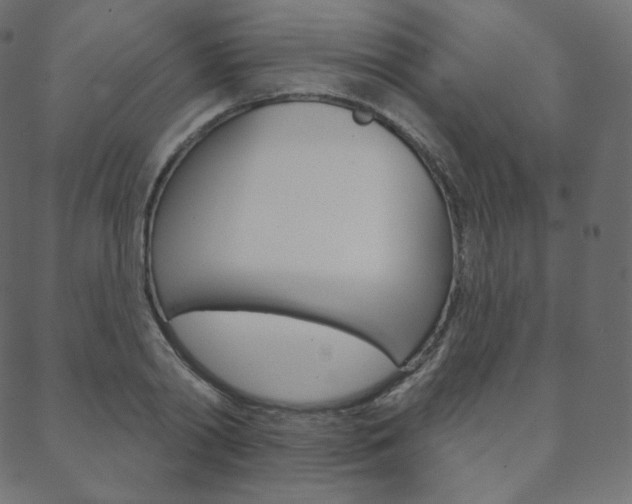 X0000088670790200705310957