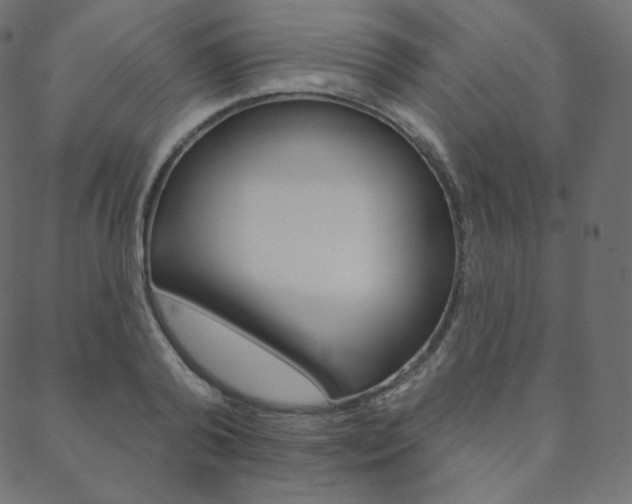 X0000088670792200705310957
