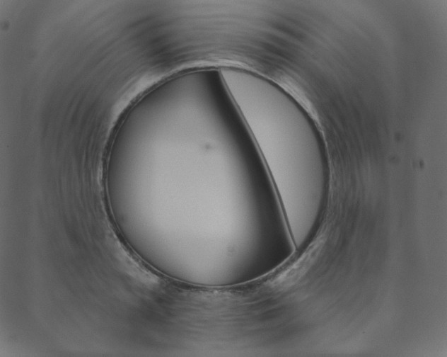 X0000088670797200705310957