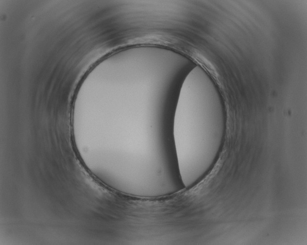 X0000088670800200705310957