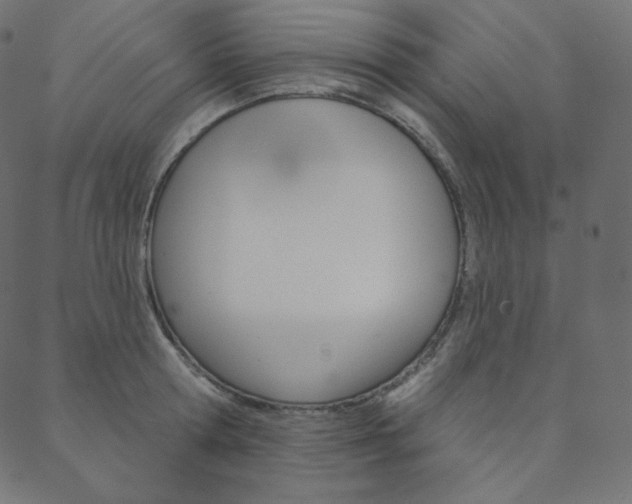 X0000088670802200705310957