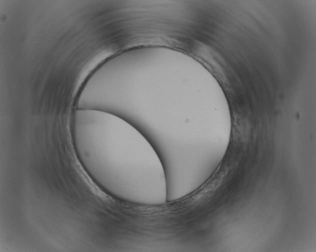 X0000088670804200705310957