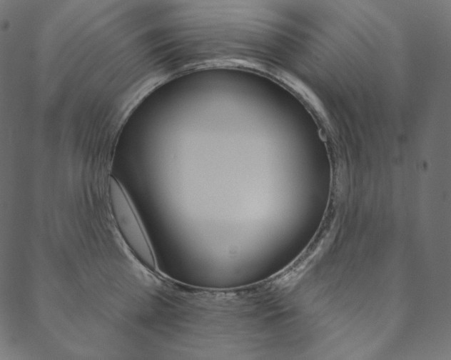 X0000088670809200705310957