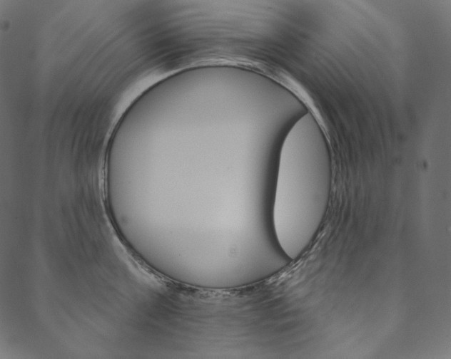X0000088670811200705310957