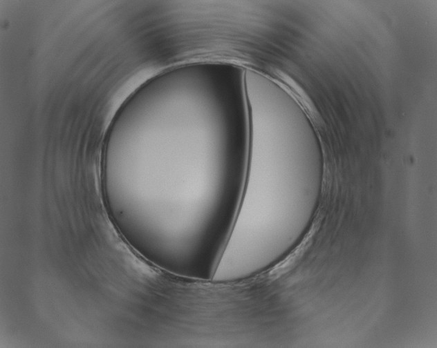 X0000088670812200705310957