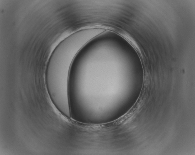 X0000088670813200705310957