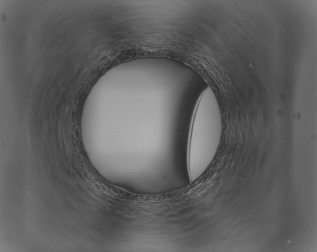 X0000088670817200705310956