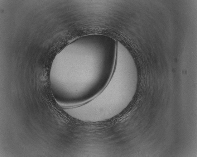 X0000088670818200705310956