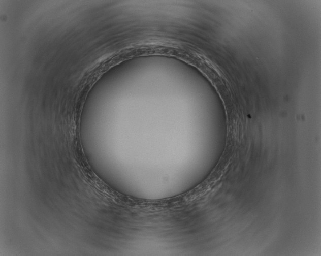 X0000088670821200705310956