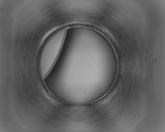 X0000088670830200705310956