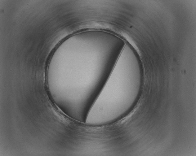 X0000088670837200705310957