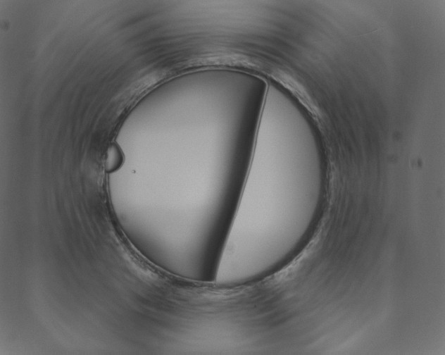 X0000088670841200705310957