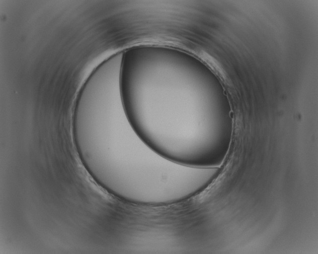 X0000088670854200705310957