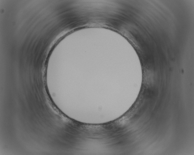 X0000088670856200705310957